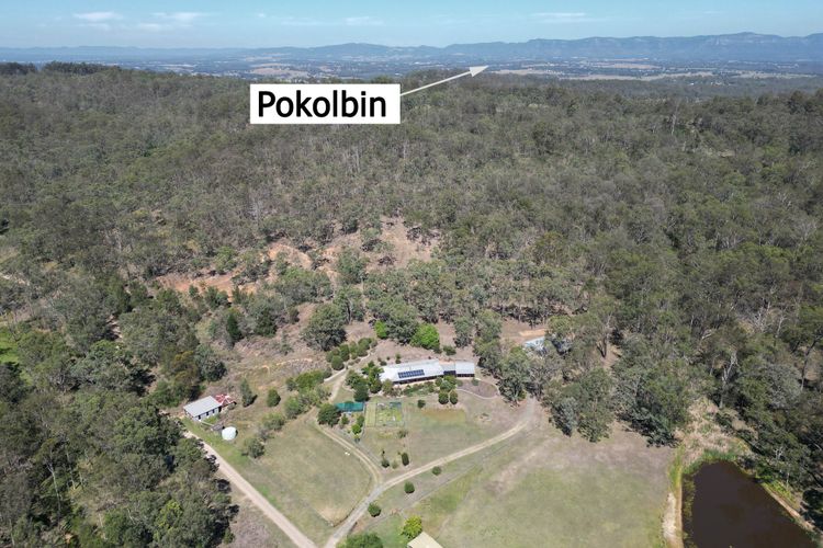 Kookaburra Range