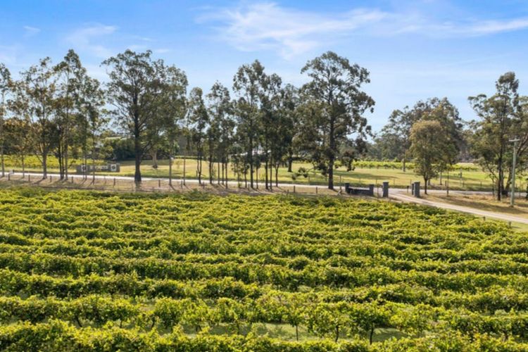 Shiraz – Pokolbin Glamping blend of adventure and luxury for 2