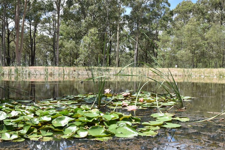 Shiraz – Pokolbin Glamping blend of adventure and luxury for 2