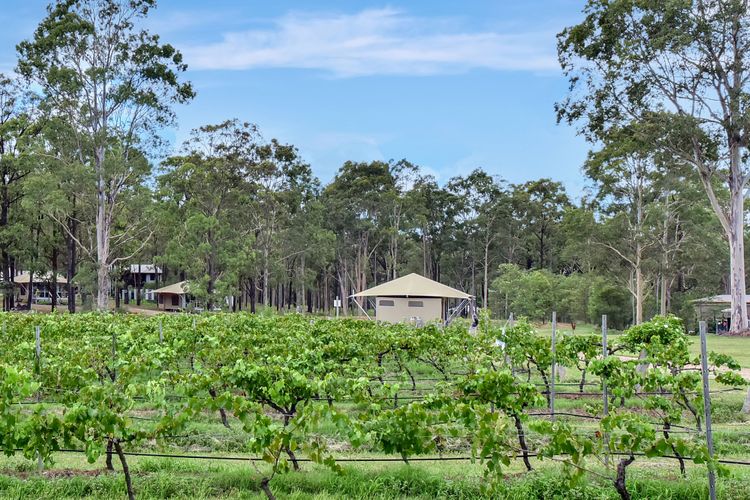 Verdelho – Pokolbin Glamping eco-friendly Sleeps 2