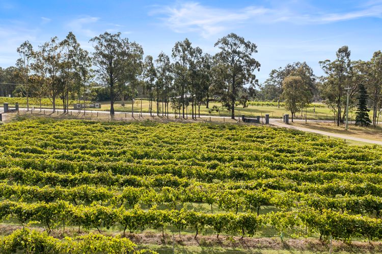 Verdelho – Pokolbin Glamping eco-friendly Sleeps 2