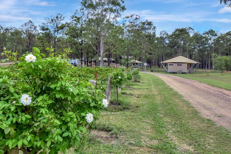 Verdelho – Pokolbin Glamping eco-friendly Sleeps 2