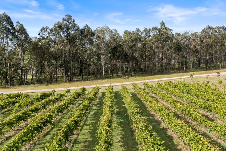 Verdelho – Pokolbin Glamping eco-friendly Sleeps 2