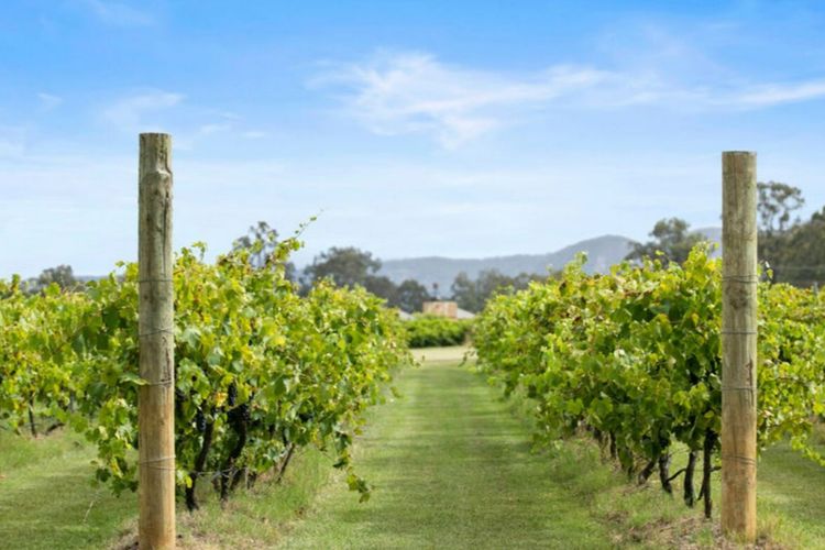 Verdelho – Pokolbin Glamping eco-friendly Sleeps 2