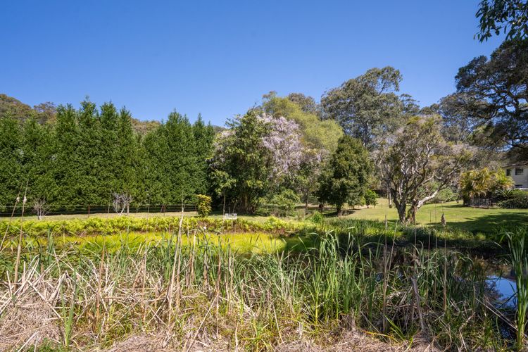 Lush Green Landscape