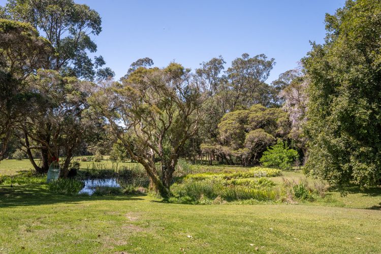 Lush Green Landscape