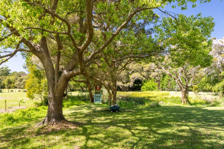 Lush Green Landscape