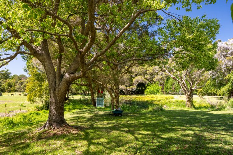 Lush Green Landscape