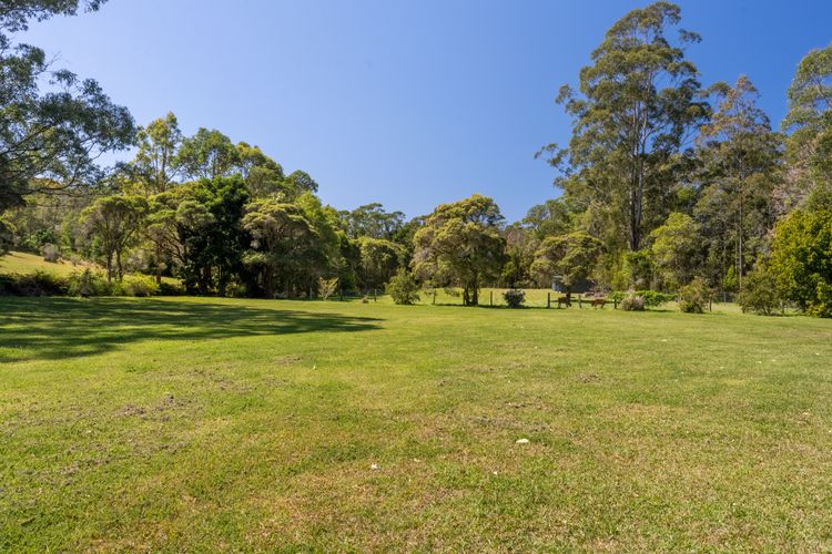 Lush Green Landscape