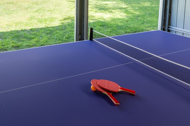 Tennis Table