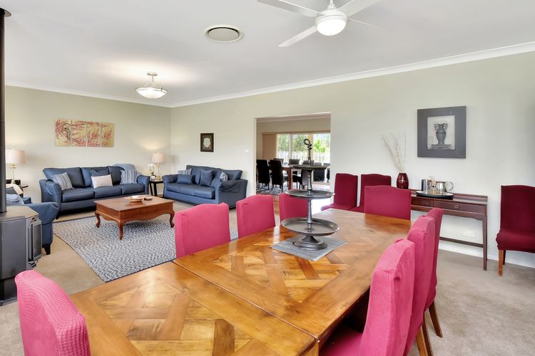 Silver Springs 6br Luxury Homestead with Wifi, Pool. Fireplace, Views, Olives and Space