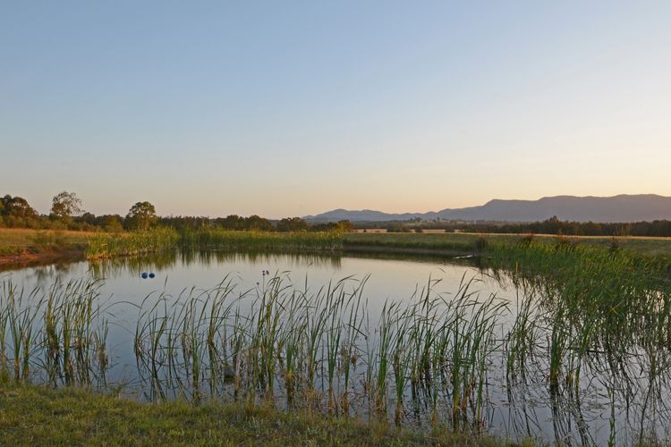 Silver Springs 6br Luxury Homestead with Wifi, Pool. Fireplace, Views, Olives and Space