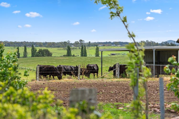 Koru Escapes Retreat