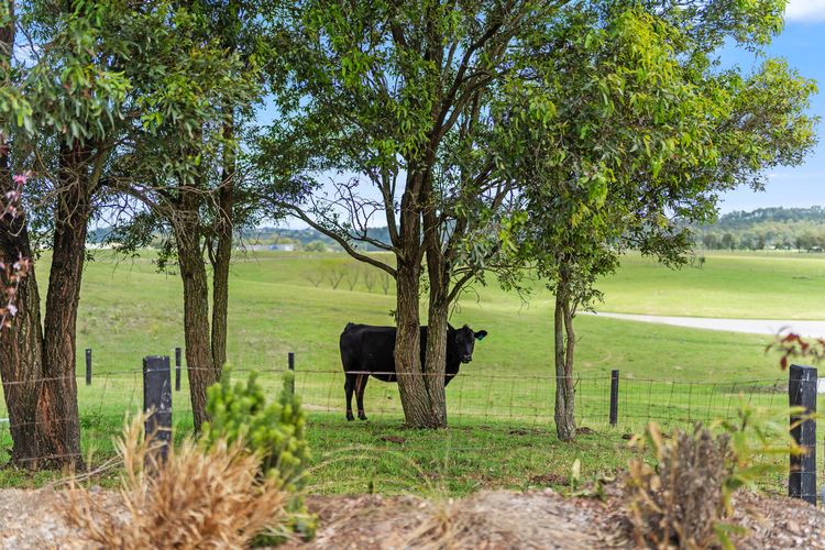 Koru Escapes Retreat