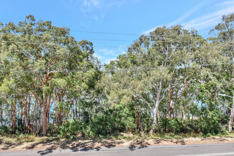 Upper Deck On Dobell