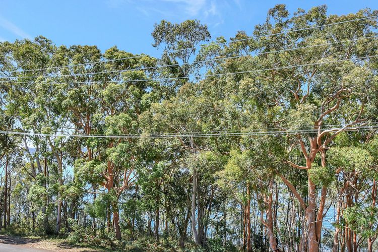 Upper Deck On Dobell