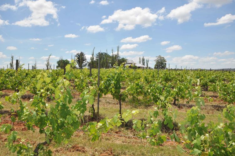 A Luxe, countryside property close to Vineyards!