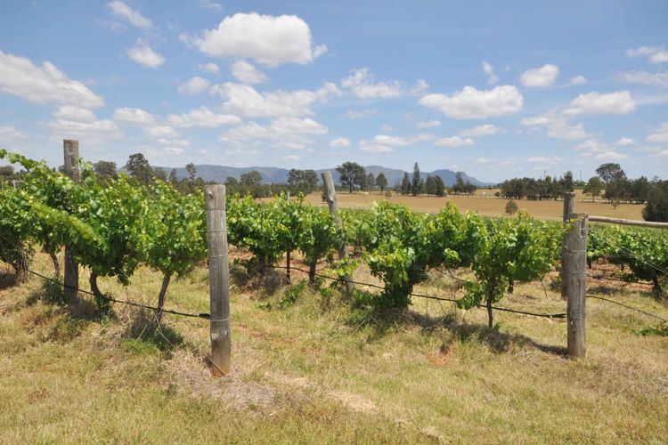 A Luxe, countryside property close to Vineyards!