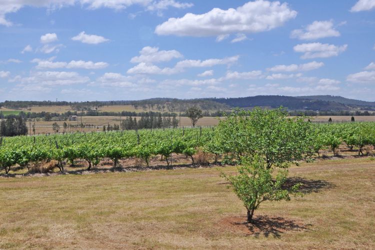 A Luxe, countryside property close to Vineyards!