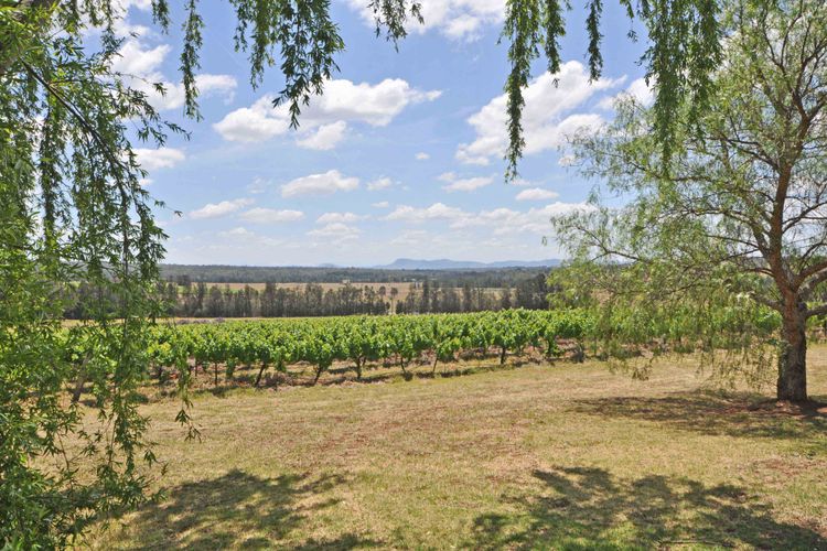 A Luxe, countryside property close to Vineyards!