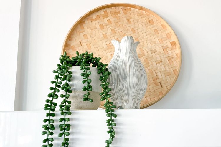 Coastal Comfort in Surfers. 1BR + Study