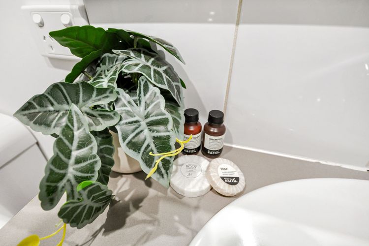 Supersized Studio Inexpensive 1×1