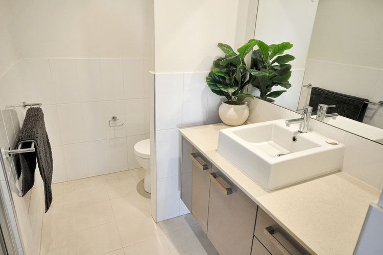 Elated Edgar 2×1 Close to CBD