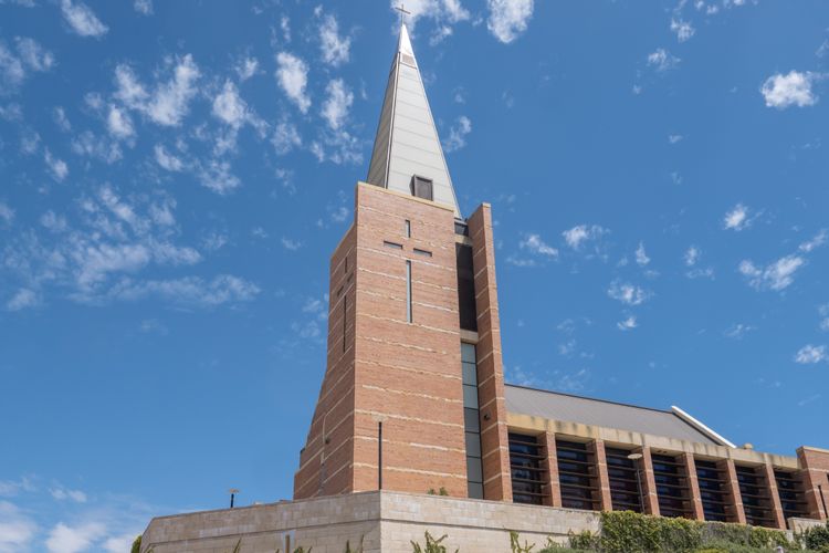 Driftwood – Bunbury