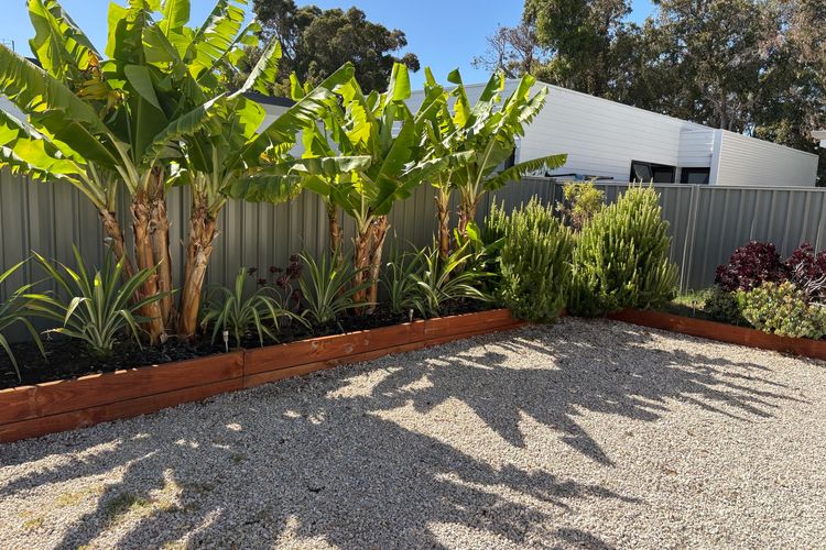 Whale of a Time – Vasse