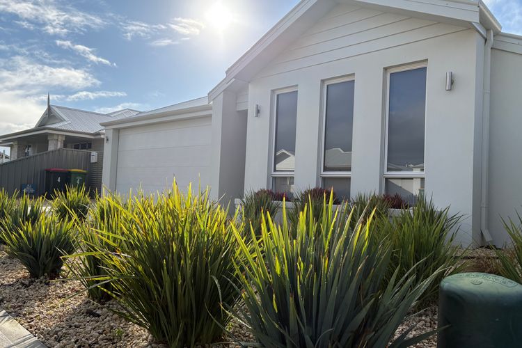 Whale of a Time – Vasse