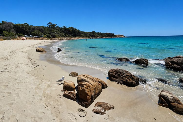 Eucalyptus Escape – Dunsborough