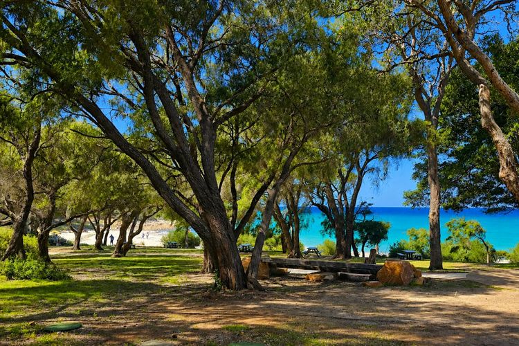 Eucalyptus Escape – Dunsborough