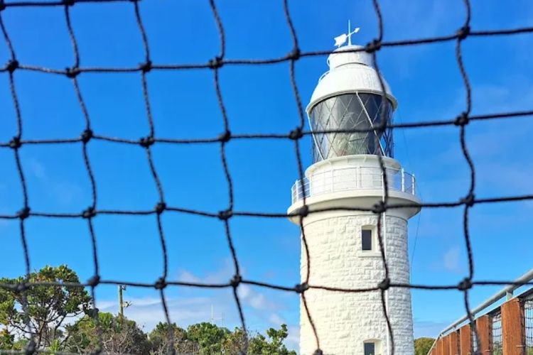 Eucalyptus Escape – Dunsborough