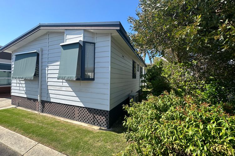 Budgie Smuggler – Cabin 96 GBHP