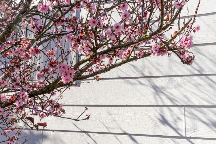 Seadrift House – Quindalup