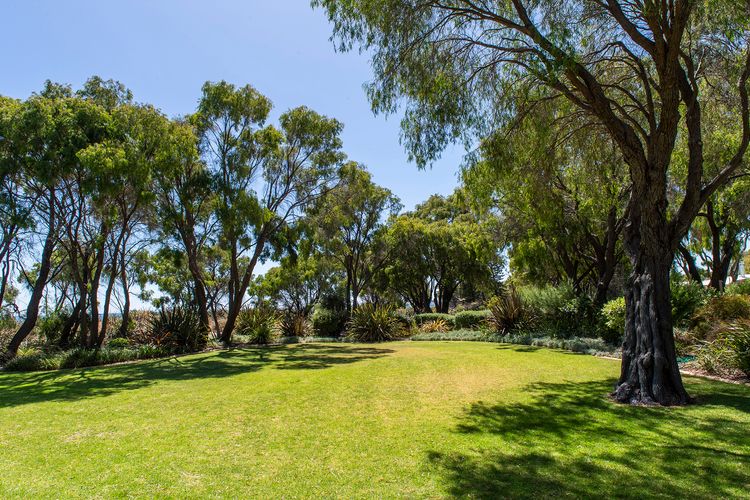 Escape to 39  @ Cape View