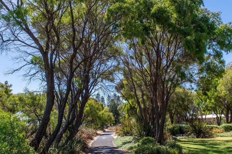 Escape to 39  @ Cape View