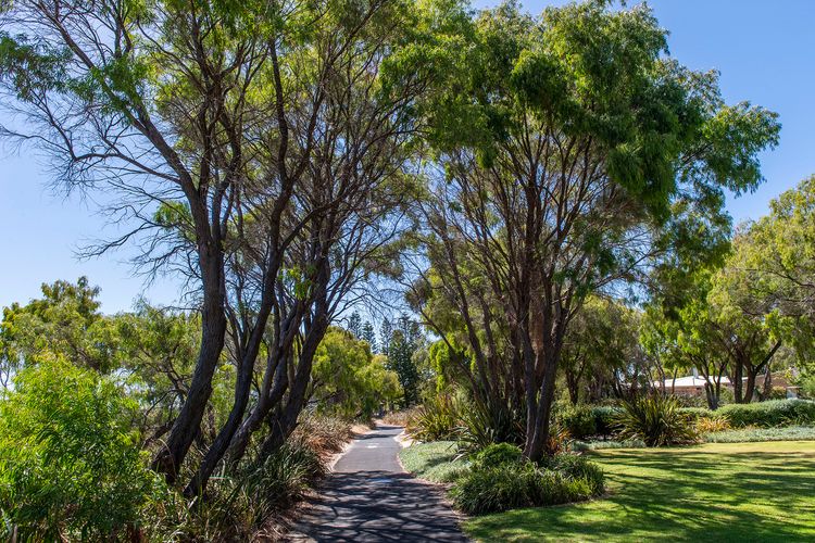 Escape to 39  @ Cape View