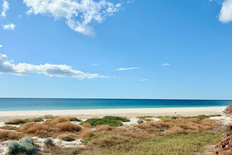 Galley Cove House