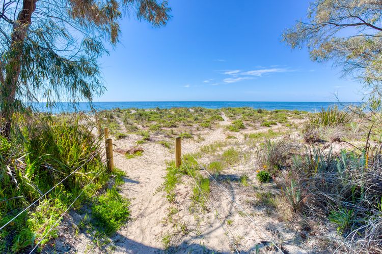 Absolute Beachfront