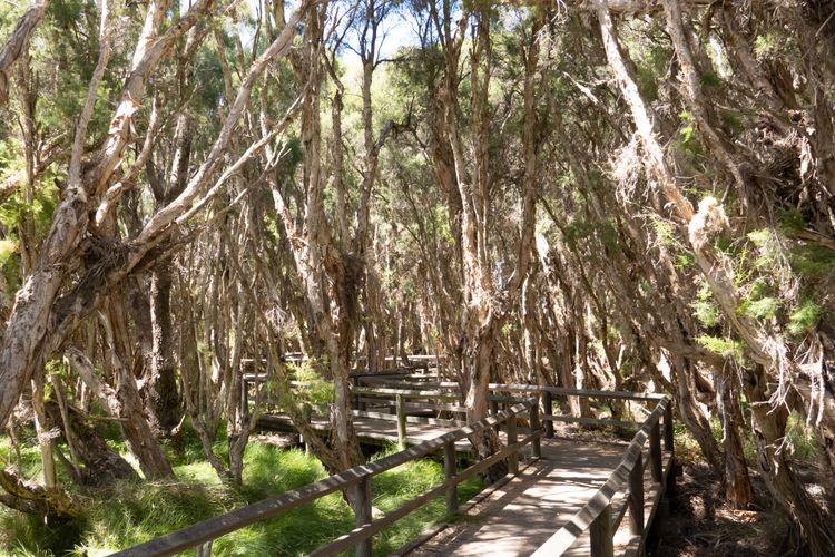 South Bunbury Retreat