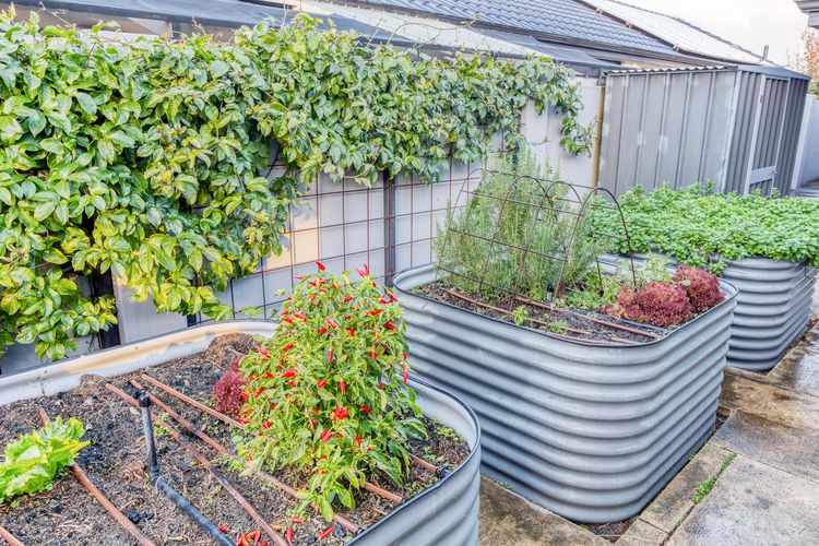 Aqua Tides – Port Geographe