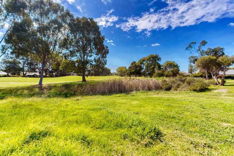 Pool and Putt Paradise