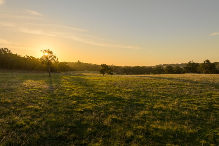 Valley View