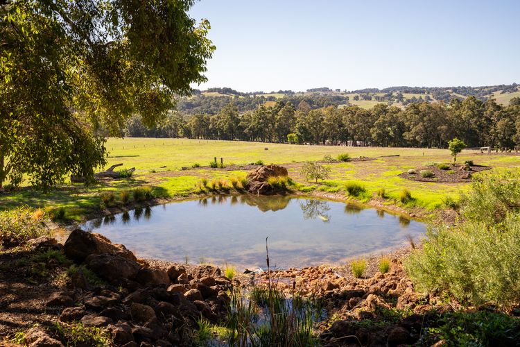 Valley View