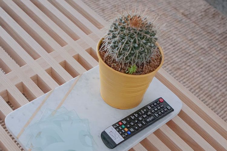 Relax at 42 Cape View Resort