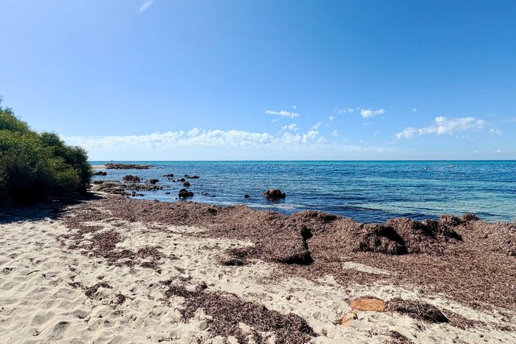 Ibis Rest Beach House