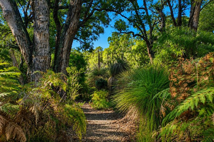 Yelverton Brook – Jarrah Lodge – 2 bedroom