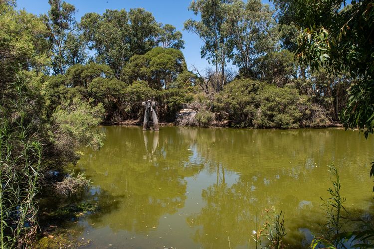 Busselton River Cottage with WiFi