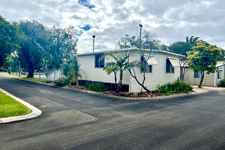 At Busso – Cabin 56